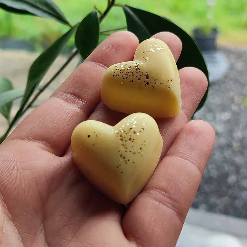 Les fondants "Gourmands"